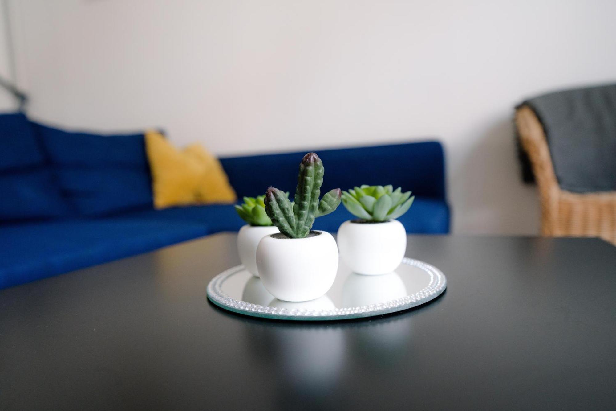 Grudziądz Restful Stay Apartment מראה חיצוני תמונה